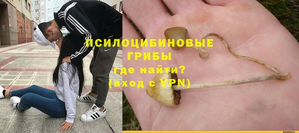 МДМА Белокуриха