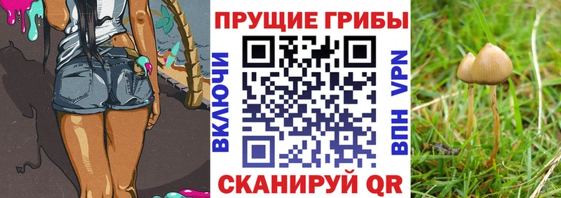 Псилоцибиновые грибы MAGIC MUSHROOMS  mega зеркало  Бутурлиновка 